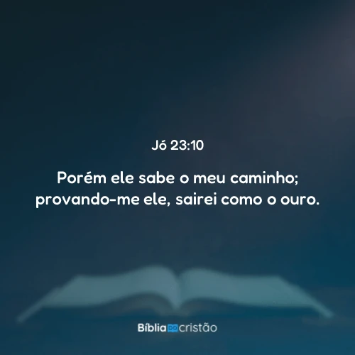 Jó 23:10
