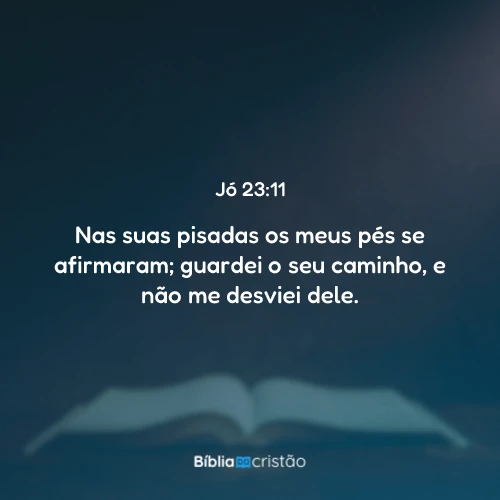 Jó 23:11