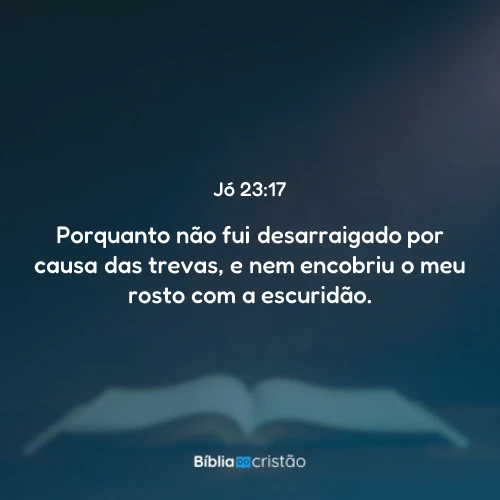 Jó 23:17