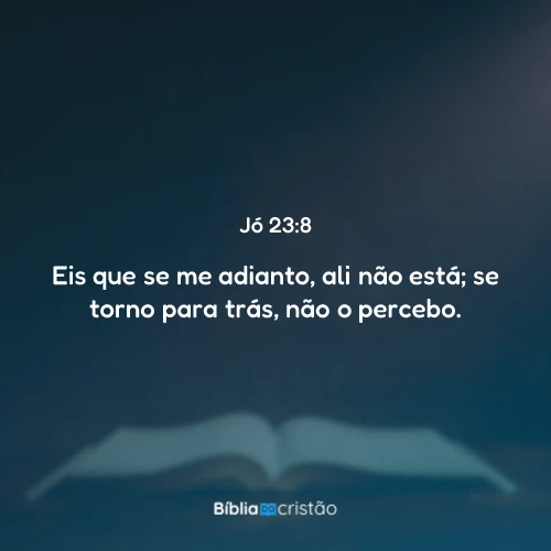Jó 23:8