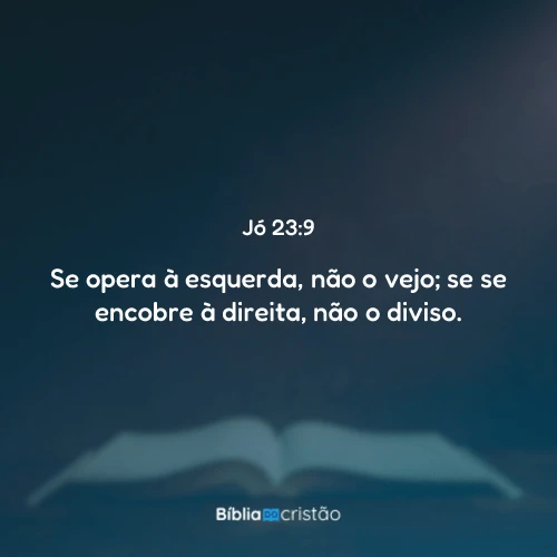 Jó 23:9