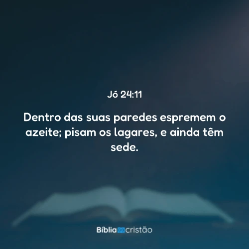 Jó 24:11