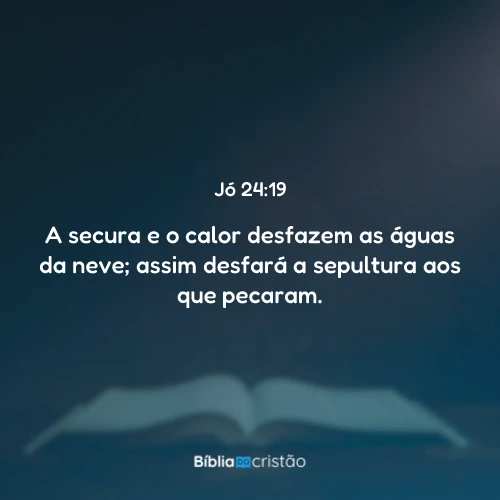 Jó 24:19