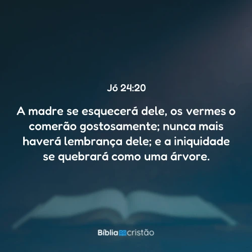 Jó 24:20
