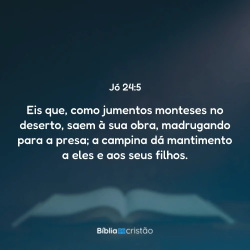 Jó 24:5
