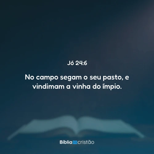 Jó 24:6