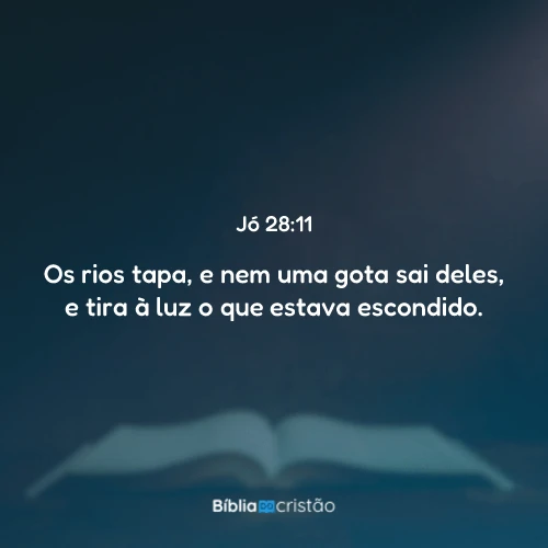 Jó 28:11