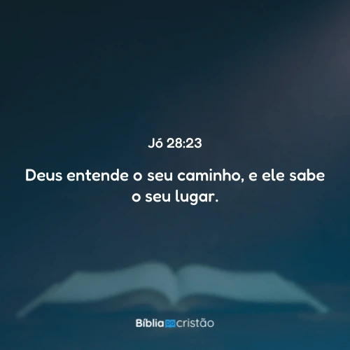 Jó 28:23