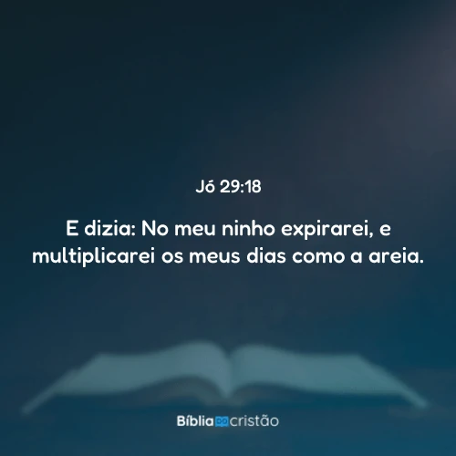 Jó 29:18