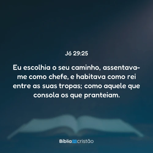 Jó 29:25