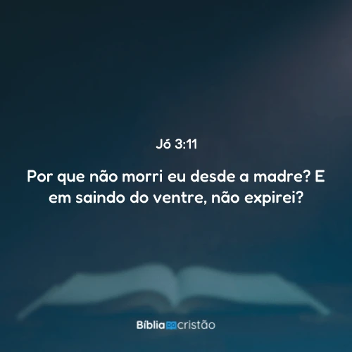Jó 3:11