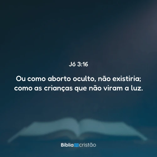 Jó 3:16