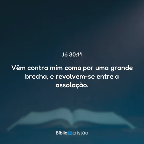 Jó 30:14