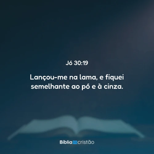 Jó 30:19