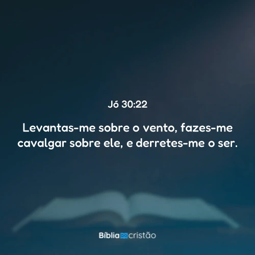 Jó 30:22
