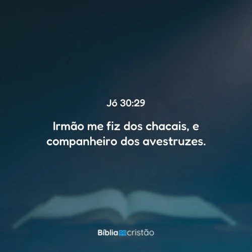 Jó 30:29