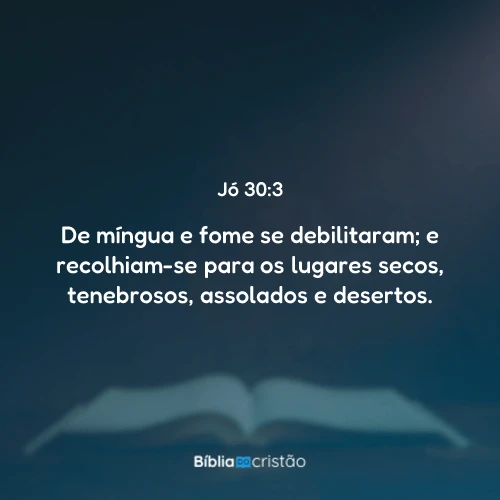 Jó 30:3