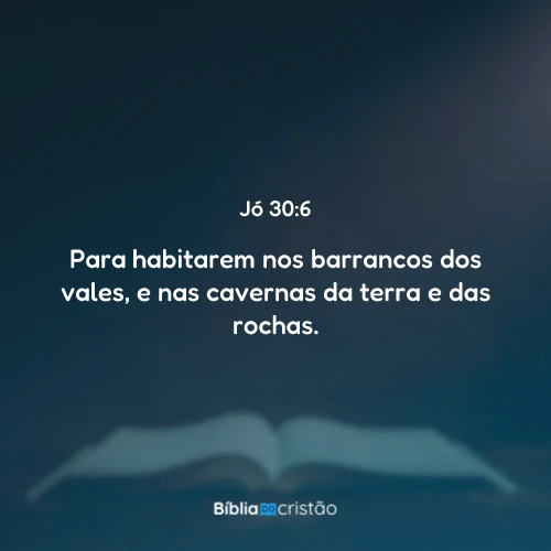 Jó 30:6