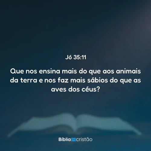 Jó 35:11