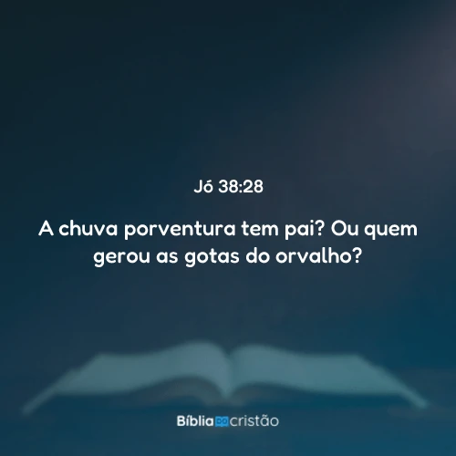 Jó 38:28