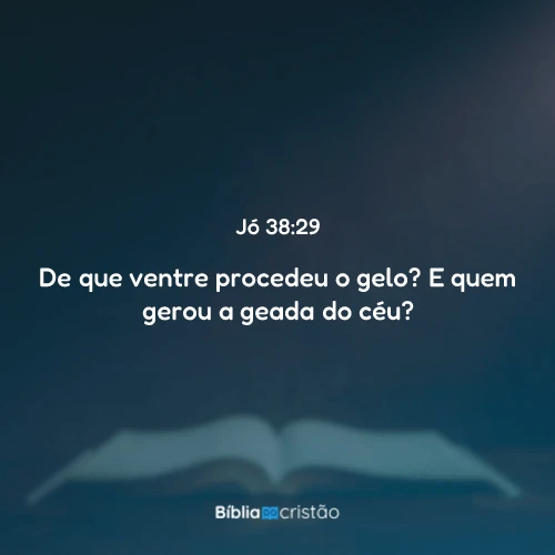Jó 38:29