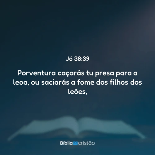 Jó 38:39