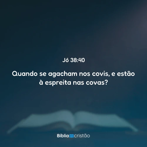 Jó 38:40