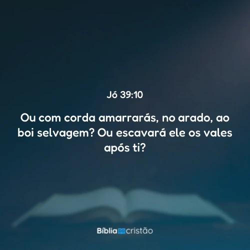Jó 39:10