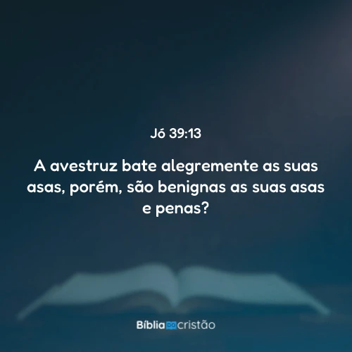 Jó 39:13