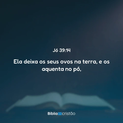 Jó 39:14