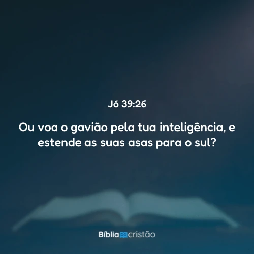 Jó 39:26