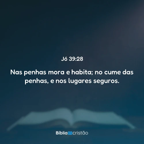 Jó 39:28
