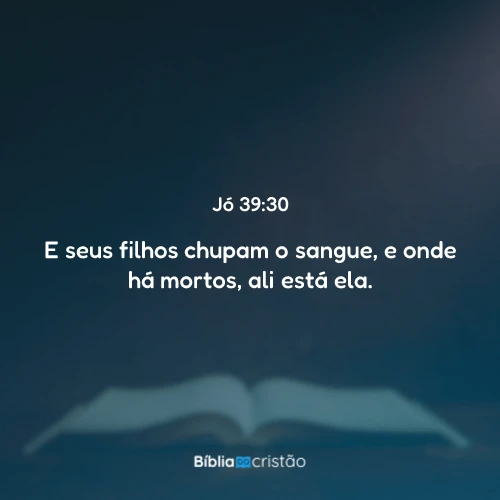 Jó 39:30