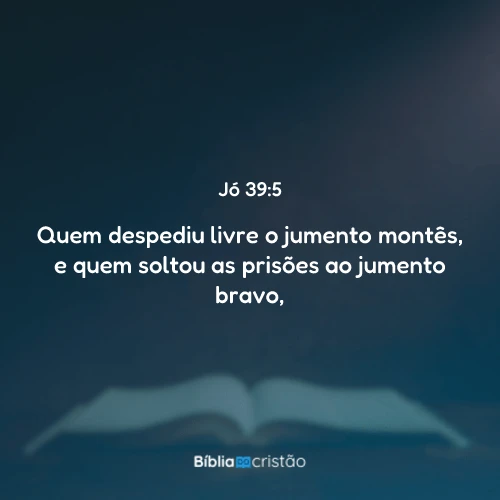 Jó 39:5
