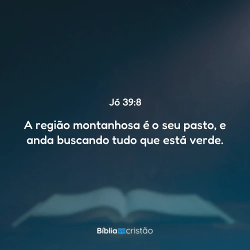 Jó 39:8