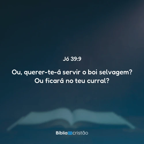 Jó 39:9
