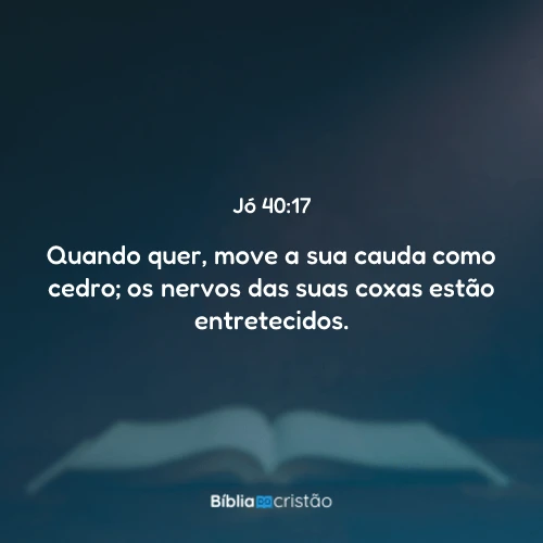 Jó 40:17