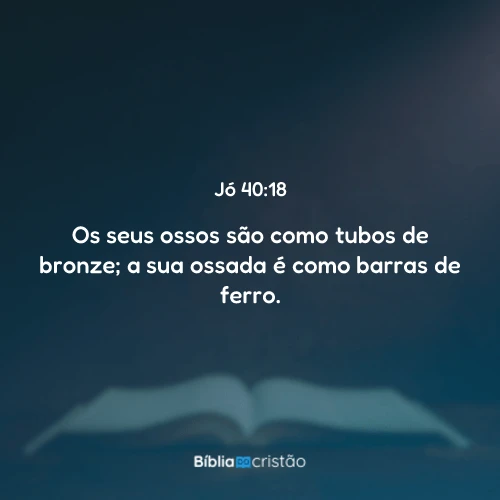 Jó 40:18