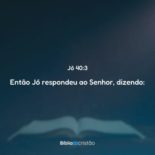 Jó 40:3