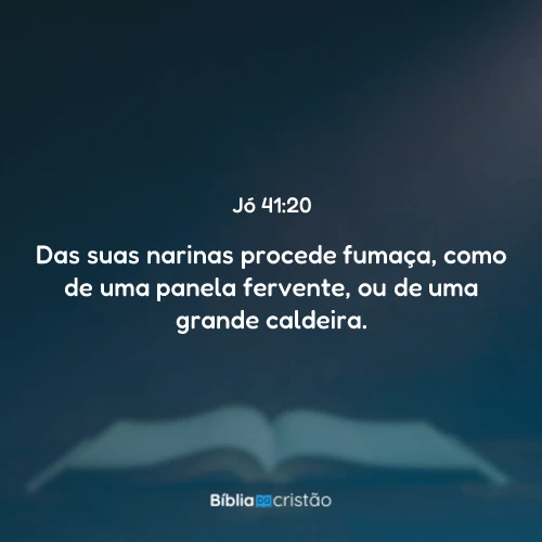 Jó 41:20