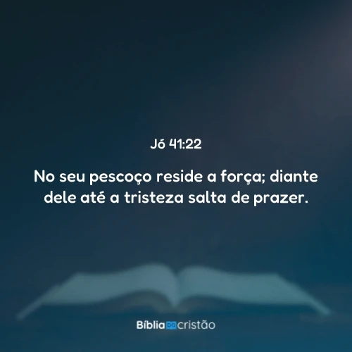 Jó 41:22