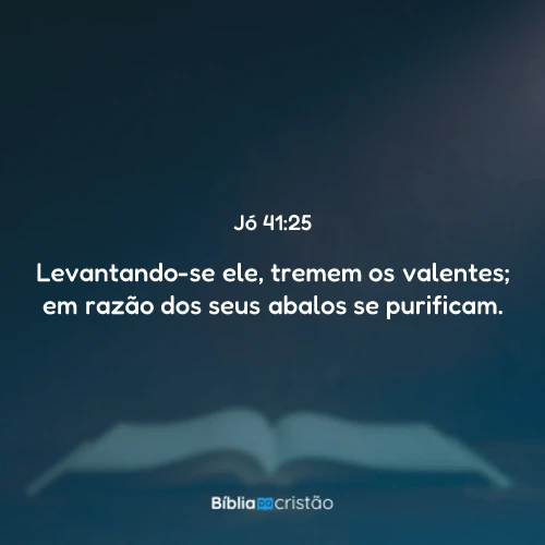 Jó 41:25