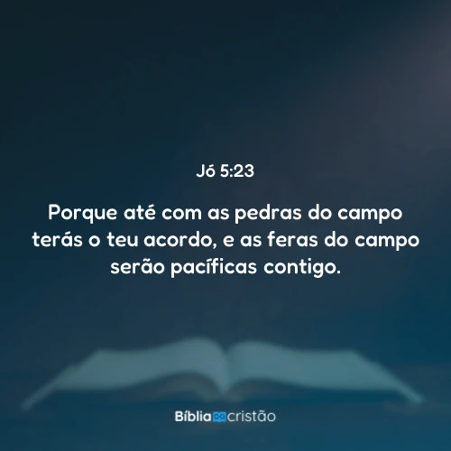 Jó 5:23