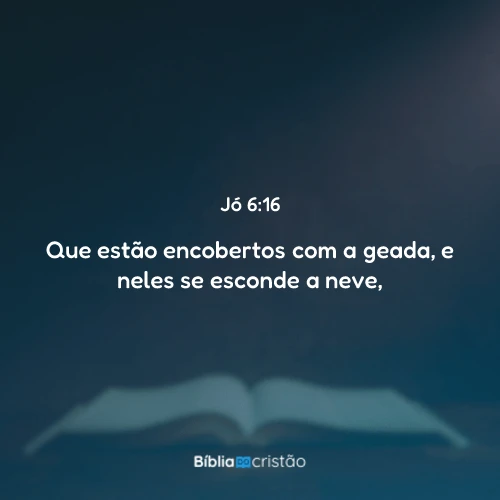 Jó 6:16