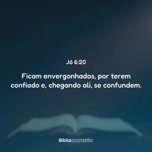Jó 6:20