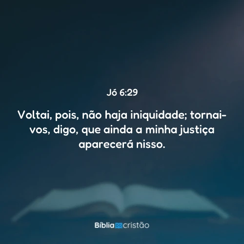 Jó 6:29