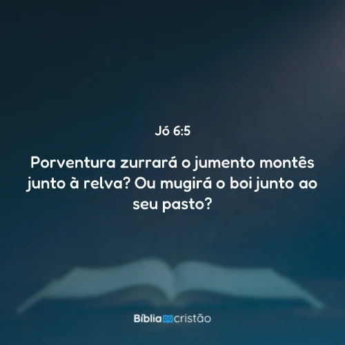 Jó 6:5