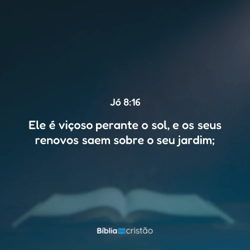 Jó 8:16