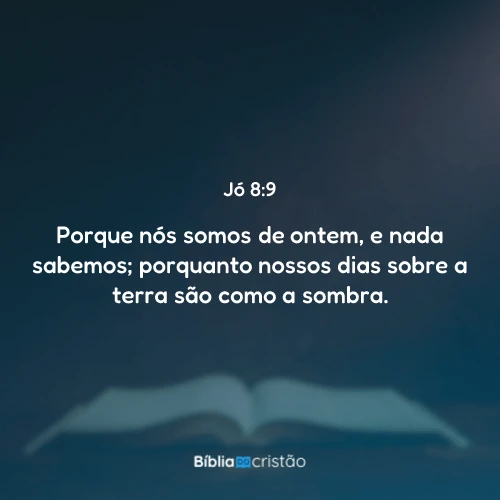 Jó 8:9