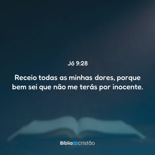 Jó 9:28